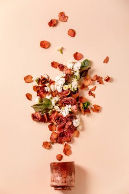 Güzel botanik kompozisyonu. Kuru güller, taç yaprakları ve bej arka planda seramik bardaktan beyaz çiçekler. Düz yat, boşluğu kopyala