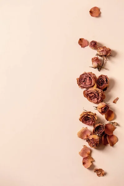 Bella Composizione Botanica Layout Creativo Con Petali Secchi Rose Fiori — Foto Stock