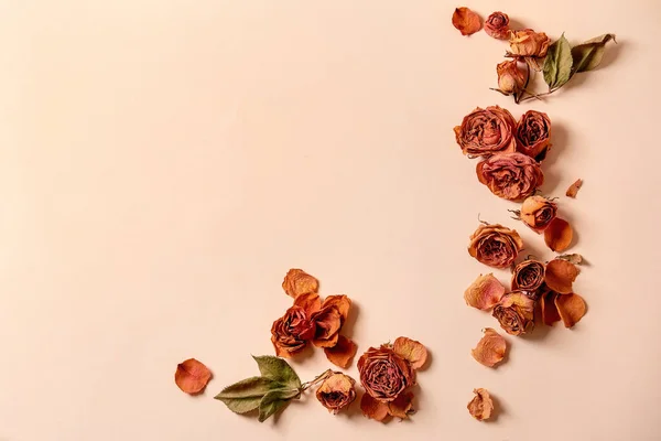 Bella Composizione Botanica Layout Creativo Con Petali Secchi Rose Fiori — Foto Stock