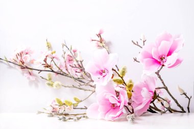 Beyaz üzerine güzel pembe bahar çiçeği kompozisyonu. Manolya çiçekleri, kiraz çiçeği açan dallar ve söğütler. Bahar ya da Anneler Günü tebrik kartı.