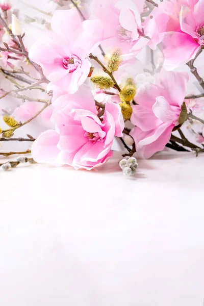 Bella Composizione Fiori Rosa Primaverili Bianco Fiori Magnetolia Rami Ciliegio — Foto Stock