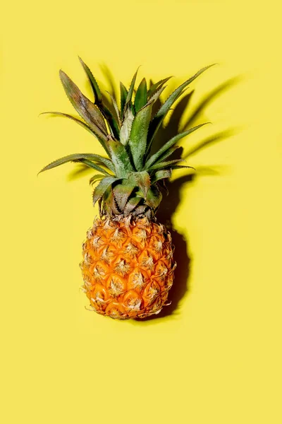 Färska Mini Ananas Med Skuggor Ljus Fast Gul Bakgrund Tropisk — Stockfoto