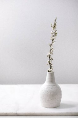 Beyaz mermer masanın üzerinde beyaz porselen vazoda kiraz dalları açıyor. Bahar çiçekleri iç dekorasyonlar.