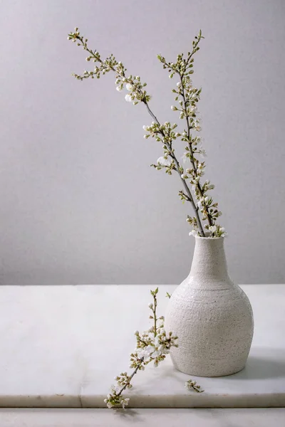 在白色大理石桌上的工艺白瓷花瓶中绽放着樱花枝条 春花室内装饰 — 图库照片