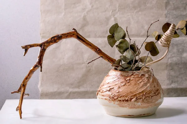 Dry Flowers Eucalyptus Twigs Branch Brown Ceramic Vase White Marble — Stock Photo, Image