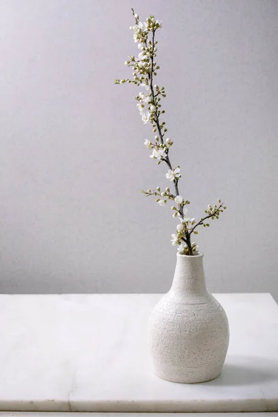 Floração Ramos Cereja Vaso Porcelana Branca Artesanato Sobre Mesa Mármore — Fotografia de Stock