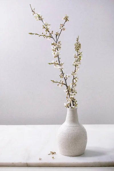 Blooming Cherry Branches Craft White Porcelain Vase White Marble Table — Stock Photo, Image