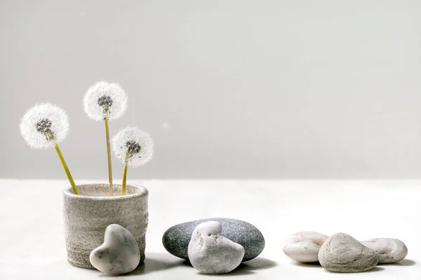 在白色大理石底座上光滑岩石的手工瓷壶中 静谧的生命 绽放着蓬松的蒲公英花朵 — 图库照片