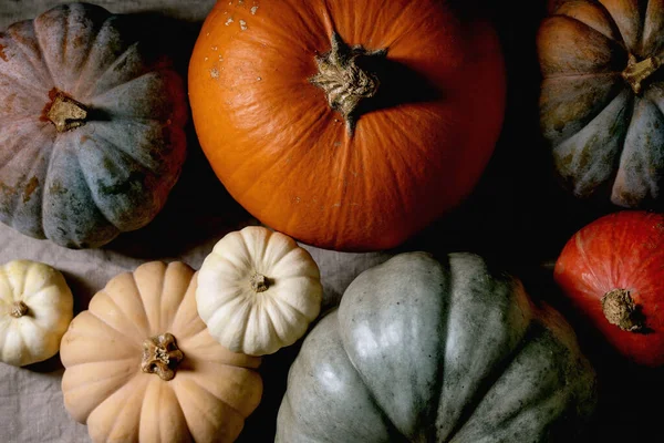 Kleurrijke Pompoenen Collectie Verschillende Grootte Cultivars Linnen Tafelkleed Plat Gelegd — Stockfoto