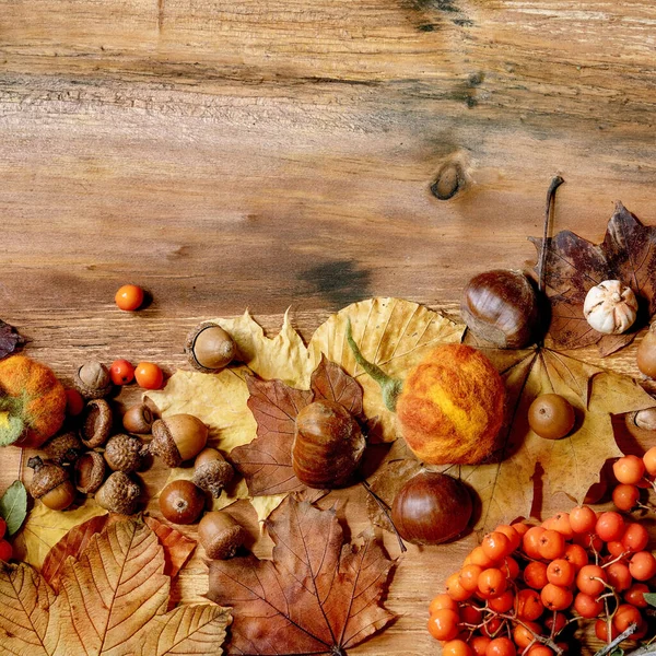 Herbstliche Saisonale Komposition Mit Gelben Ahornblättern Vogelbeeren Kastanien Und Dekorativen — Stockfoto