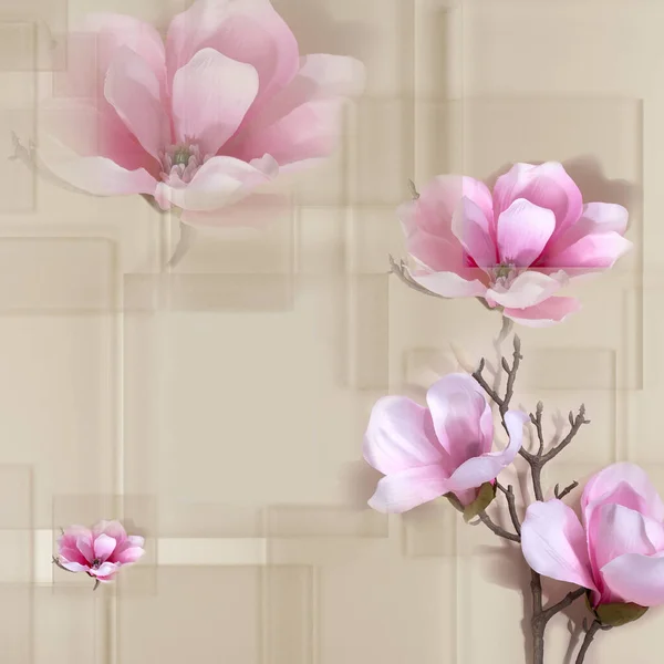 Different Size Levels Transparent Glass Plates Magnolia Flowers White Abstract — Stock Photo, Image