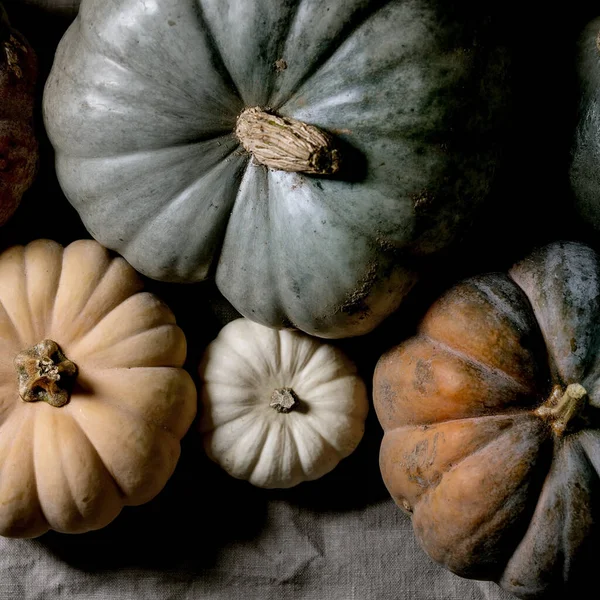 Collezione Zucche Colorate Diverse Dimensioni Cultivar Tovaglia Lino Piatto Raccolta — Foto Stock