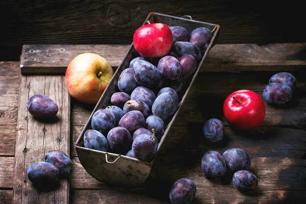 Ciruelas y manzanas — Foto de Stock