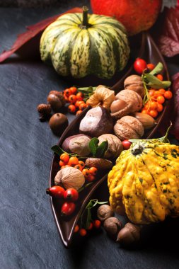 Kabaklarla sonbahar arkaplanı