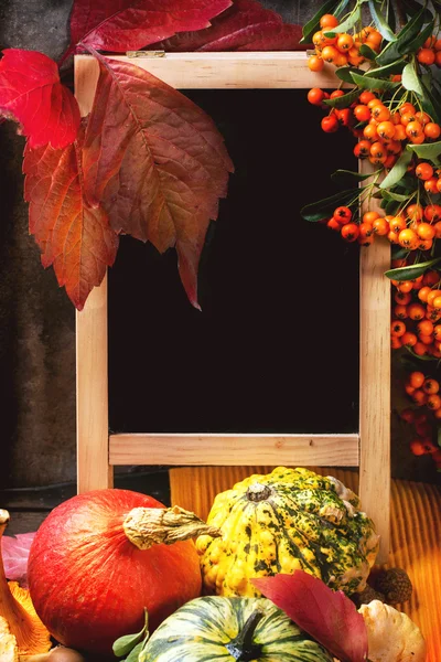 Calabazas, nueces y pizarra vacía —  Fotos de Stock