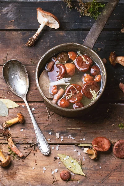 Sopa de hongos —  Fotos de Stock