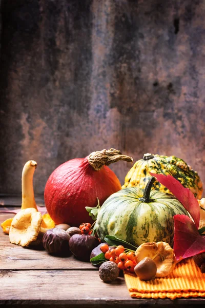 Pumpkins, nuts and berries — Stock Photo, Image