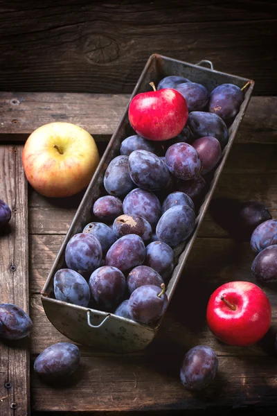 Plums and apples — Stock Photo, Image