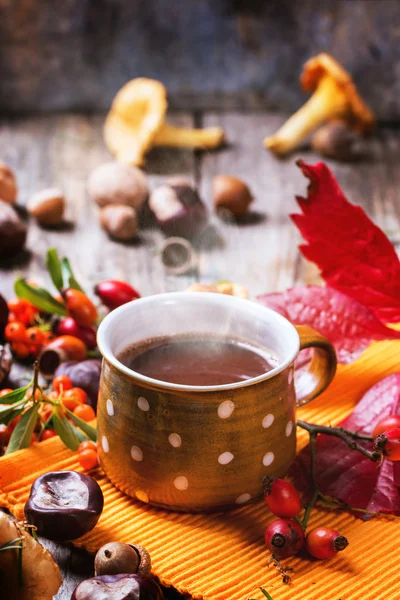 Hot chocolate — Stock Photo, Image