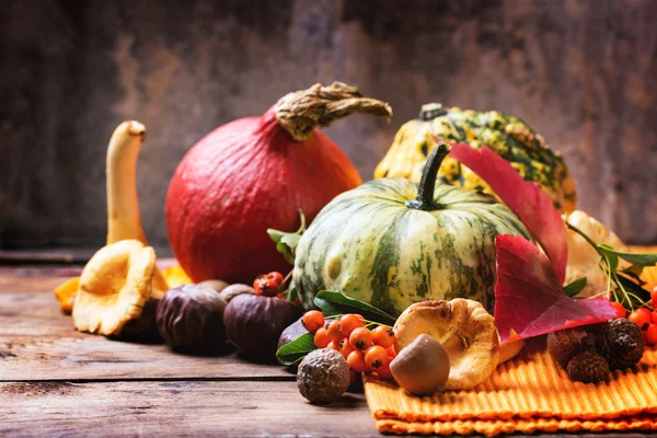 Calabazas, frutos secos y bayas —  Fotos de Stock