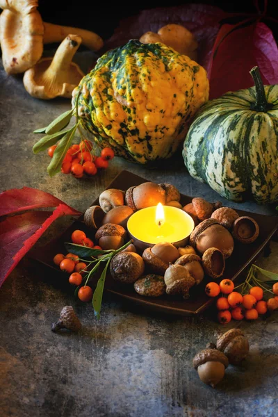 Calabazas, nueces y velas —  Fotos de Stock