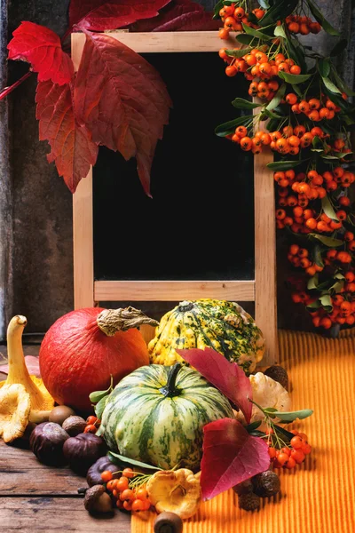 Pumpkins, nuts and empty chalkboard — Stock Photo, Image