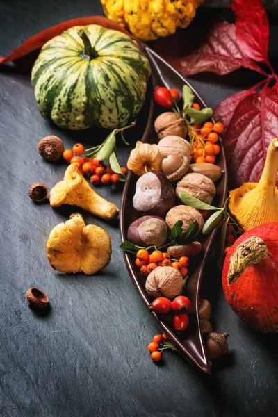 Herbst Hintergrund mit Kürbissen — Stockfoto
