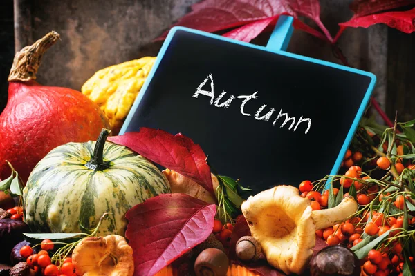 Pumpkins, nuts and empty chalkboard — Stock Photo, Image