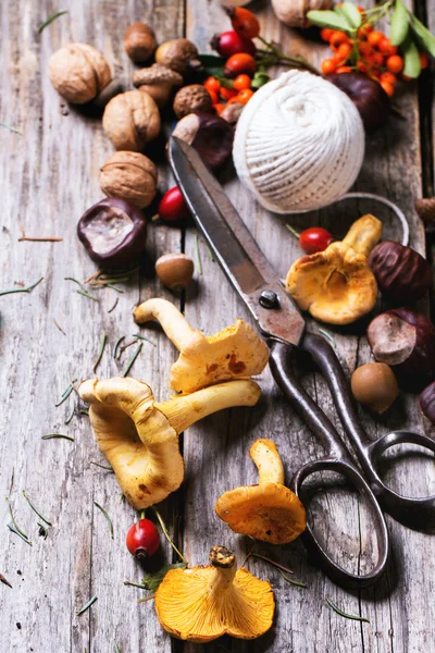Hanenkam (zwam) champignons met oude schaar — Stockfoto
