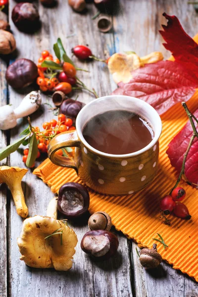 Hot chocolate — Stock Photo, Image