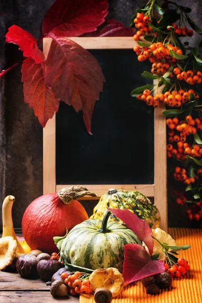 Pumpkins, nuts and empty chalkboard — Stock Photo, Image