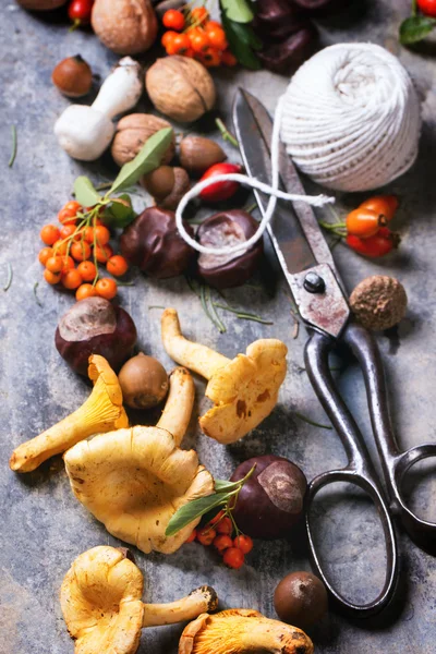 Chanterelle mushrooms with old scissors — Stock Photo, Image