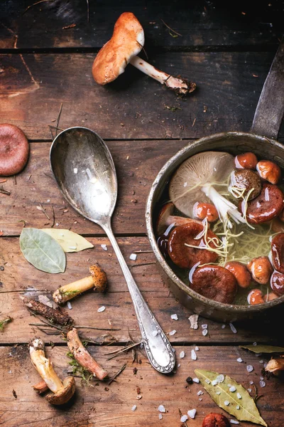 Mushrooms soup — Stock Image Mushrooms soup Stock Photo