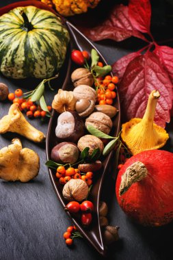 Kabaklarla sonbahar arkaplanı