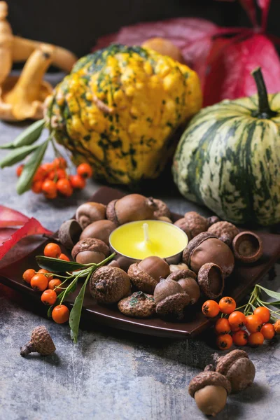 Calabazas, nueces y velas — Foto de Stock