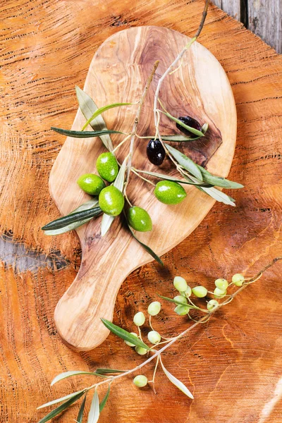 Green olive branch — Stock Photo, Image