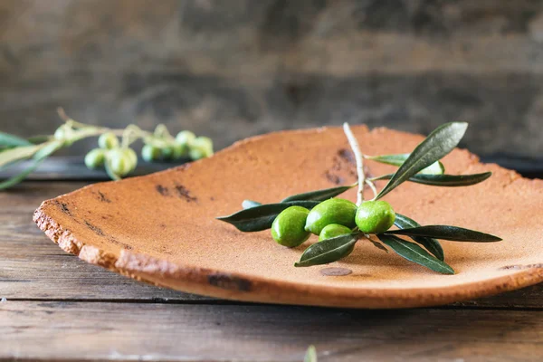 Rama verde oliva — Foto de Stock