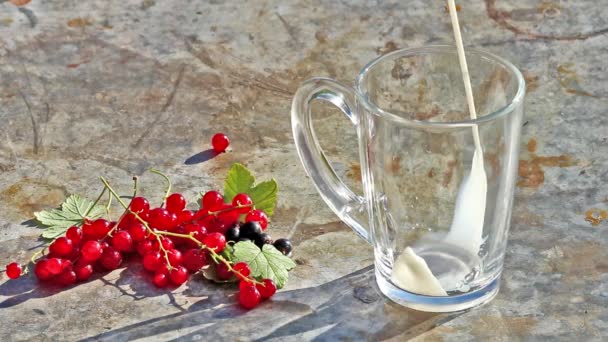 Coupe en verre avec verser du lait et des groseilles rouges baies — Video