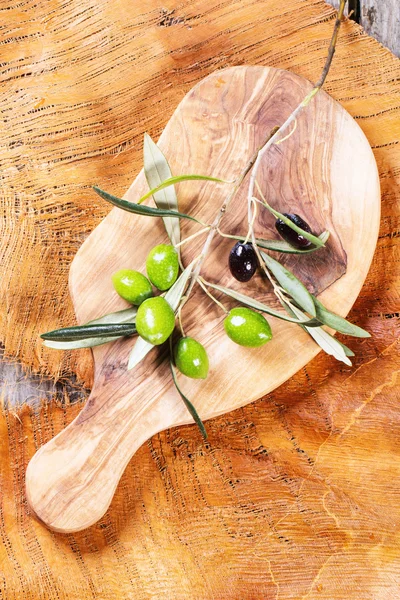 Зелений оливкову гілку — стокове фото