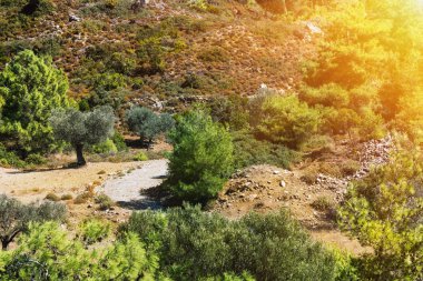 Yunanistan Manzarası