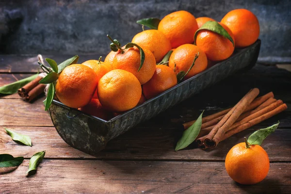 Mandarinky se skořicí — Stock fotografie