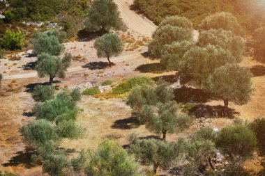 Yunanistan Manzarası