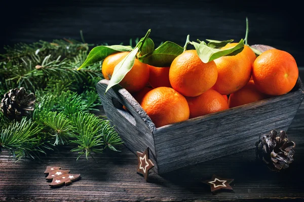 Christmas tangerines — Stock Photo, Image