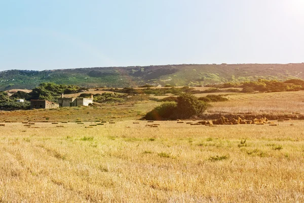 Greece landscape — Stock Photo, Image