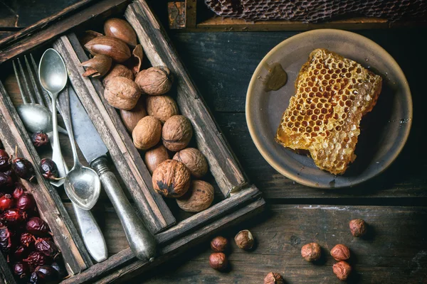 Honeycomb och nötter — Stockfoto