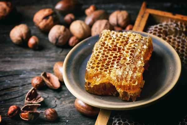 Honeycomb a ořechy — Stock fotografie