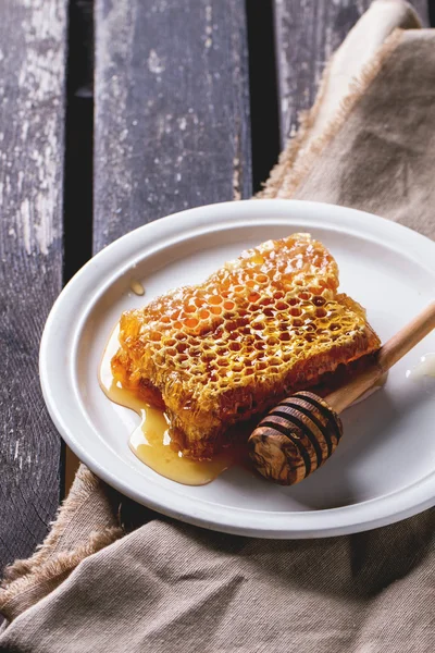 Bienenwaben — Stockfoto