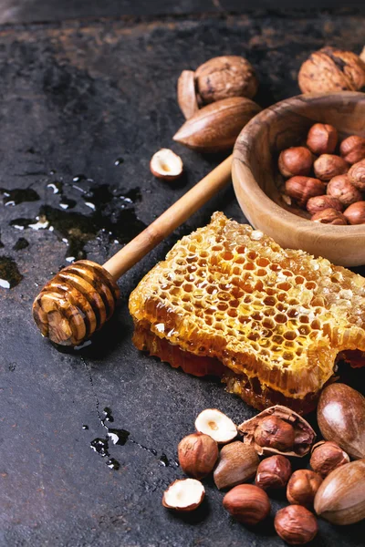 Honeycomb and nuts — Stock Photo, Image