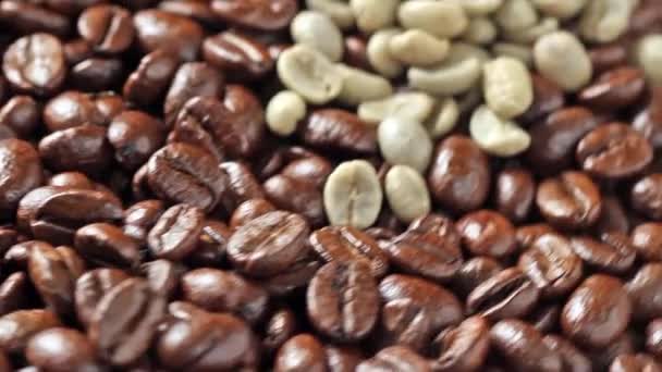 Вращающиеся кофейные зерна — стоковое видео