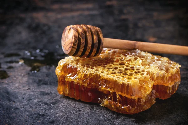 Bienenwaben — Stockfoto